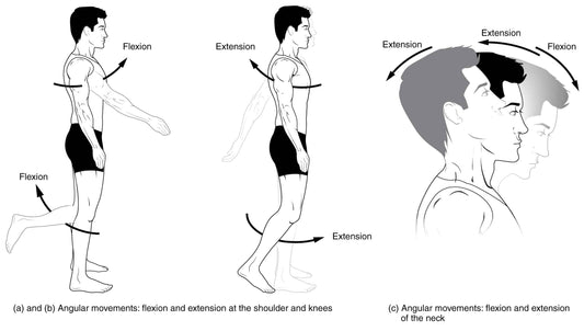 Hair Loss Through Forward Head Posture