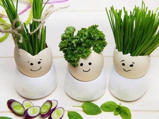 Protein rich foods for hair growth