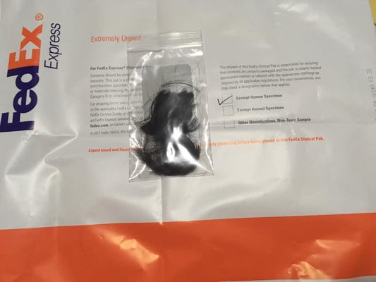 Great Plains Lab Hair Test [Step-By-Step With Images]
